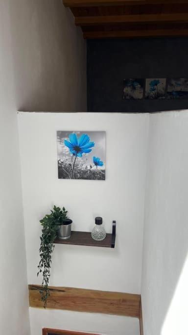 Ca La Trini Vivienda Vacacional Nava Extérieur photo